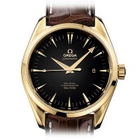 Omega Seamaster Aqua Terra Chronometer 41 Gold 2602.50.3